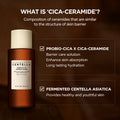 Centella Hyaluronic Toner for Hydrated Skin